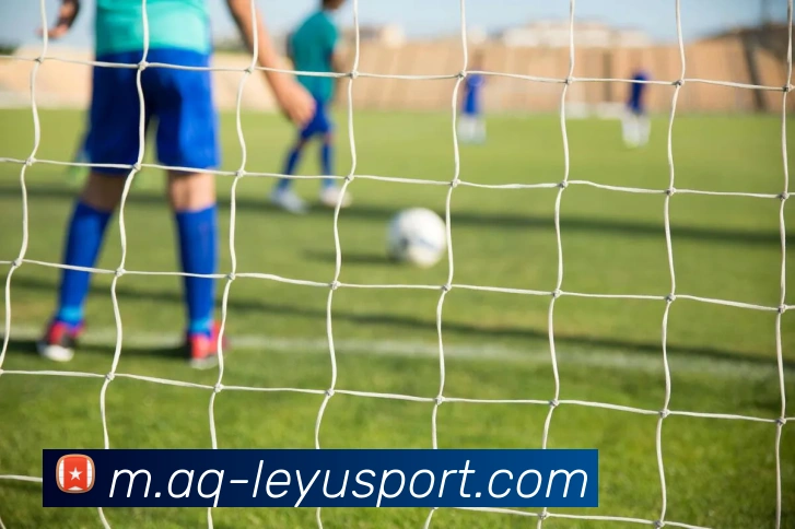 乐鱼体育服务体系